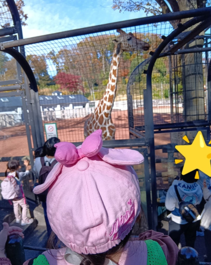 e6d6a26cf3b682e06ccd0e3a6b905bd0 - 【トイロ柿生】多摩動物公園11月24日