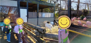187c815f448a5ebda95b883cb7dd2642 300x144 - ♪トイロ白楽♪【夢見ヶ崎動物公園へ行こう】2026.01.03