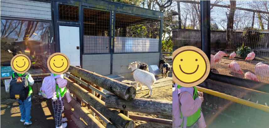 ♪トイロ白楽♪【夢見ヶ崎動物公園へ行こう】2026.01.03 187c815f448a5ebda95b883cb7dd2642 - ♪トイロ白楽♪【夢見ヶ崎動物公園へ行こう】2026.01.03