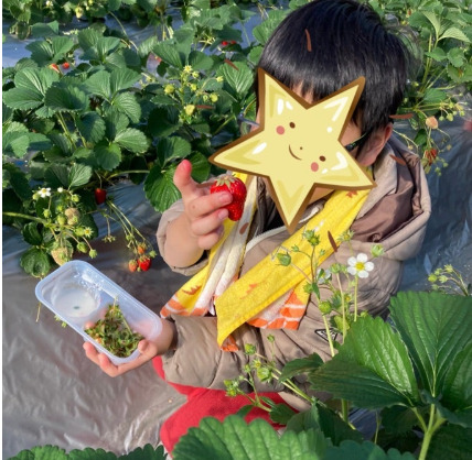 ☆トイロ大津☆ 1月24日(土)【いちご狩りに行こう】 b1f65bd78cde53c187b9087508a59d7c - ☆トイロ大津☆ 1月24日(土)【いちご狩りに行こう】