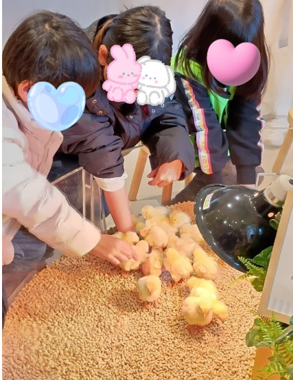 12月26日(金)トイロ渋沢☆モフアニマルカフェ☆ e8493ce0a6eec14eee124278a8fbae84 - 12月26日(金)トイロ渋沢☆モフアニマルカフェ☆