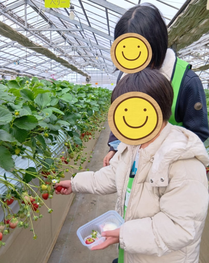 2月8日*toiro小田栄 第2教室 (いちご狩りに行こう!) 9fa2e1aff35af25802af6af8e0ef5ca4 - 2月8日*toiro小田栄 第2教室 (いちご狩りに行こう!)