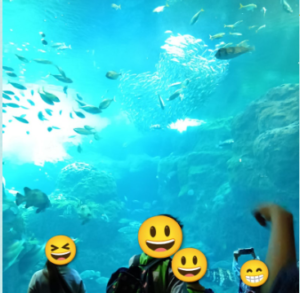 6e21181f428f19dd129ccd4357c1a44c 300x293 - 4月19日（日）　江ノ島水族館に行ってきました