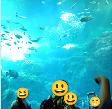 6e21181f428f19dd129ccd4357c1a44c - 4月19日（日）　江ノ島水族館に行ってきました