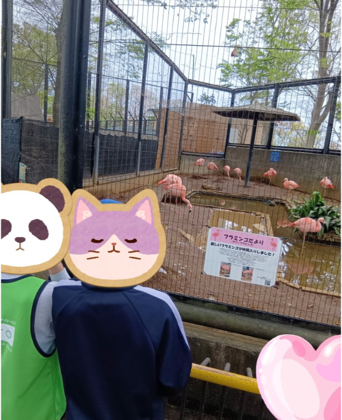 01a2de200f99c21b48a76a9ffa895402 - 4月5日＊toiro小田栄　第2教室　（夢見ヶ崎動物公園）
