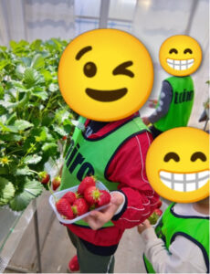 745e64a304c25b5f0251e6ff67755ff6 230x300 - トイロ東海大学前4月3日☆いちご狩り☆