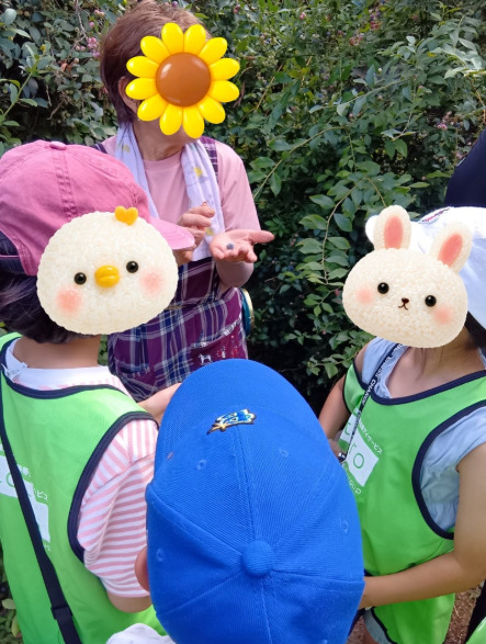 7月25日(土)toiro小田原 ブルーベリー狩り 125e5a44cd8291ea1235071efc3d417e - 7月25日(土)toiro小田原 ブルーベリー狩り