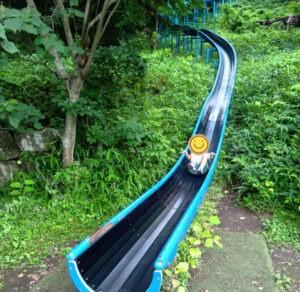 8c26a05fed025aba6f27b86ff12c7d6a 300x292 - toiro白楽　7月4日　四季の森公園へ行こう
