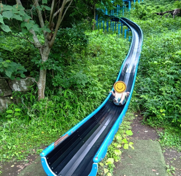 toiro白楽 7月4日 四季の森公園へ行こう 8c26a05fed025aba6f27b86ff12c7d6a - toiro白楽 7月4日 四季の森公園へ行こう