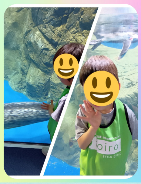 2026/8/31 ”トイロ手広”新江ノ島水族館 039afc83ac578c4c34c3957250976852 - 2026/8/31 ”トイロ手広”新江ノ島水族館