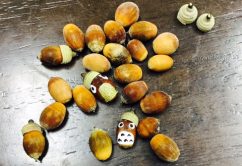 o0480035614064352164 242x166 - ♪11月6日(月)♪toiro戸塚