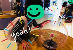 o0480036014052156028 242x166 - ＊10月14日(土)toiro新吉田＊