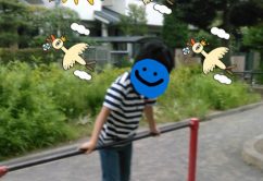 o0480059513975915869 242x166 - ＊７月３日・４日＊toiro新吉田＊