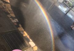 ☆7月28日(金)☆toiro西谷 o0480064113992836085 242x166 - ☆7月28日(金)☆toiro西谷