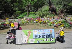 ★4月30日(日)★toiro東戸塚 o0640048013926343673 242x166 - ★4月30日(日)★toiro東戸塚