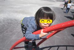 ★5月3日(月)~5月5日(金)★toiro東戸塚 o0640048013929804808 242x166 - ★5月3日(月)~5月5日(金)★toiro東戸塚