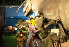 ★9月16日(土)・9月18日(月)★toiro東戸塚 o2352156814030569157 242x166 - ★9月16日(土)・9月18日(月)★toiro東戸塚