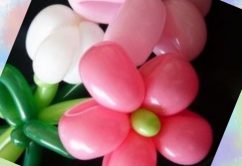 ☆4月15日(日)☆toiro西谷 o0480048013915299230 242x166 - ☆4月15日(日)☆toiro西谷