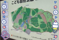 ☆3月18日 (土)☆toiro西谷 o0480064013894347862 242x166 - ☆3月18日 (土)☆toiro西谷