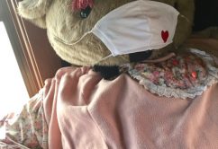 ☆3月27日 (月)☆toiro西谷 o0480064013899965017 242x166 - ☆3月27日 (月)☆toiro西谷