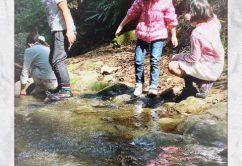 ☆3月30日 (木) ☆toiro西谷 o0480064013902166502 242x166 - ☆3月30日 (木) ☆toiro西谷