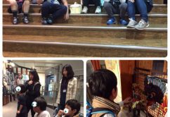 ☆4月8日(土)☆toiro西谷 o0480064013909423332 242x166 - ☆4月8日(土)☆toiro西谷