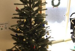 o0480064014088074445 242x166 - ♪12月10日(日)♪toiro戸塚