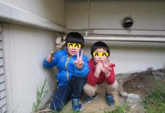 ★3月15日(水)★toiro東戸塚 o0640048013890829959 242x166 - ★3月15日(水)★toiro東戸塚