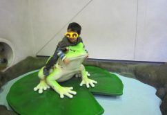 ★4月22日(土)★toiro東戸塚 o0640048013919774187 242x166 - ★4月22日(土)★toiro東戸塚