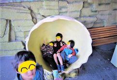 ★11月23日(木)★toiro東戸塚 o0640048014077926437 242x166 - ★11月23日(木)★toiro東戸塚