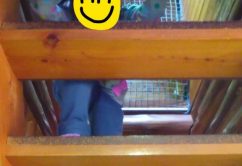 ★3月11日(土)★toiro東戸塚 o1440256013887319014 242x166 - ★3月11日(土)★toiro東戸塚