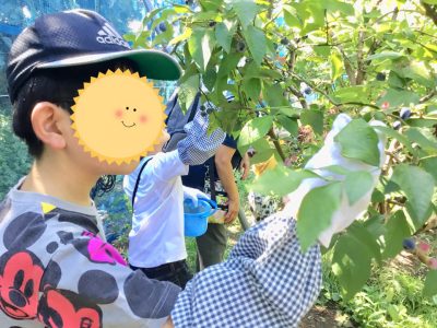 ◇8月22日(水)◇toiro青葉台 o0960072014272590507 400x300 - ◇8月22日(水)◇toiro青葉台