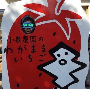 ☆2019.2.17(日)☆toiro西谷☆ 11 303x300 - ☆2019.2.17(日)☆toiro西谷☆