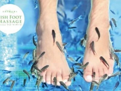 2c76ee4fc8e3ed0ce7626a7821118f53 1 400x300 - ＊2月17日(土) ＊toiro新吉田