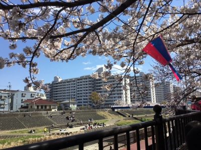 ♪4月5日(金)♪toiro戸塚 11 400x300 - ♪4月5日(金)♪toiro戸塚