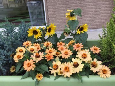 7 400x300 - ◎6/22(土)◎ toiro 本郷台