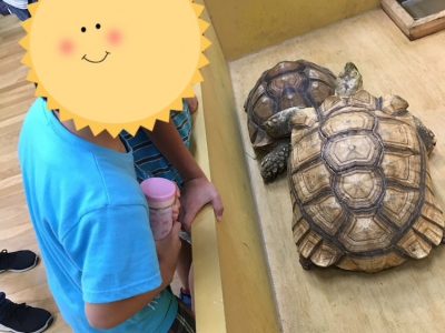 ◇9月28日(土)、29日(日)◇toiro青葉台 1 400x300 - ◇9月28日(土)、29日(日)◇toiro青葉台