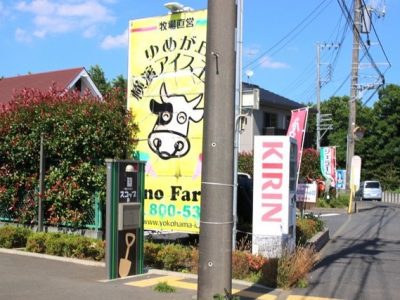 640x640 rect 86996565 400x300 - ☆　11月4日　toiro鳥が丘　☆