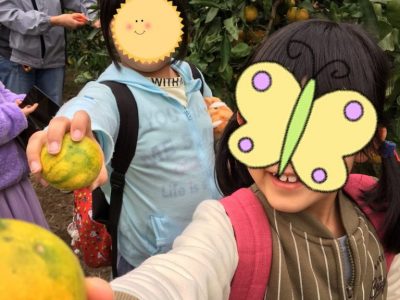 o1080144014645591415 400x300 - ◎11月3日(日)◎toiro本郷台