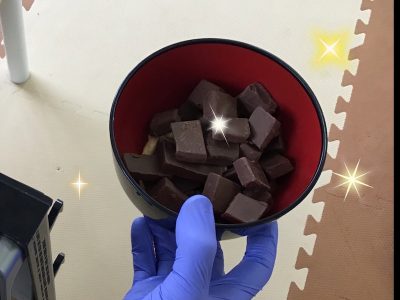 5月10日(日) toiro鳥が丘 o1080116514757707218 400x300 - 5月10日(日) toiro鳥が丘