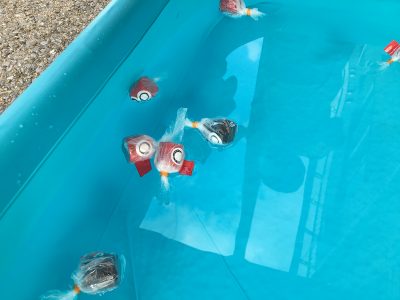 ●toiro大倉山● 金魚すくいあそび o4032302414782457212 400x300 - ●toiro大倉山● 金魚すくいあそび