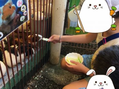 o1080144014816534139 400x300 - 9月5日、6日　◇toiro青葉台◇