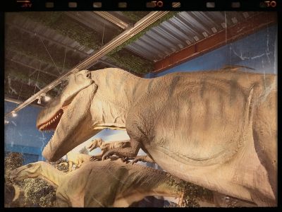 o2560192014815557455 400x300 - 9月6日　☆toiro南林間☆