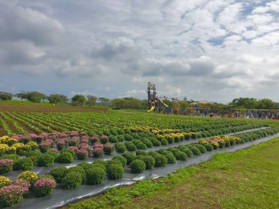 ◎9月27日(日) toiro東戸塚 ソレイユの丘◎ o0640048014827456905 400x300 - ◎9月27日(日) toiro東戸塚 ソレイユの丘◎