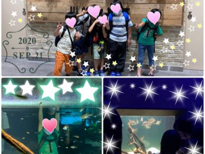 ◯toiro大倉山教室◯ 連休の様子☆川崎水族館、ストロベリーパーク o1920256014826486769 400x300 - ◯toiro大倉山教室◯ 連休の様子☆川崎水族館、ストロベリーパーク