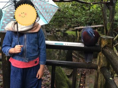 o1080144014837182754 400x300 - 10月17日（土）18日（日）　◇toiro 青葉台◇