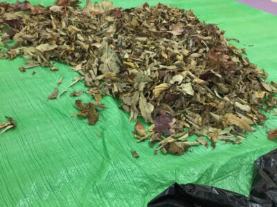 o1080144014853509565 400x300 - ♪11月17日(火)♪toiro戸塚