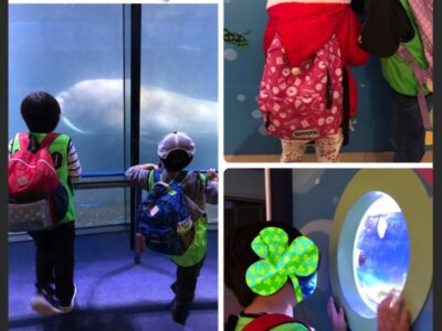 o1915255314850048728 400x300 - 11月13日（金）☆toiro金沢文庫22☆