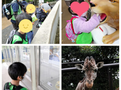 11月3日(火)☆toiro蒔田☆ o2000200014846768750 400x300 - 11月3日(火)☆toiro蒔田☆