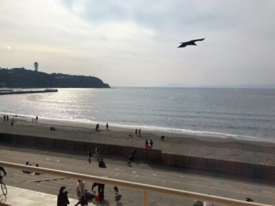 o1080081014865909484 400x300 - 12月13日(日)◎toiro本郷台◎